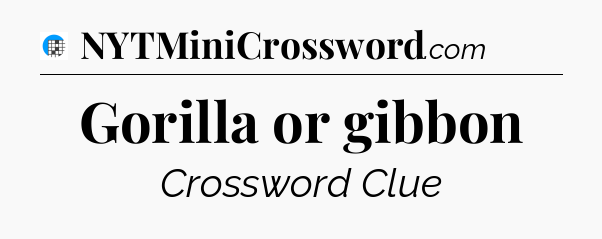 Gorilla or gibbon Crossword Clue