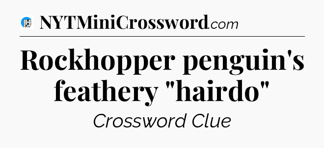 Rockhopper penguin's feathery 