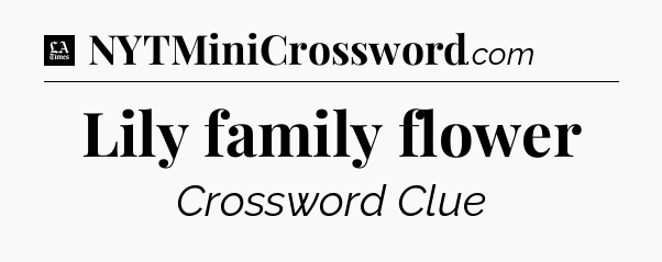 Lily family flower - LA Times Crossword