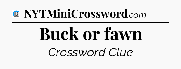 Buck or fawn Crossword Clue