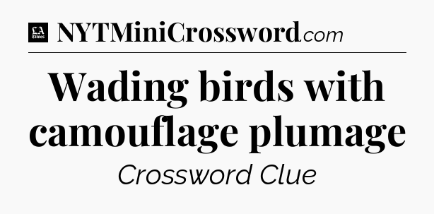 Wading birds with camouflage plumage - LA Times Crossword