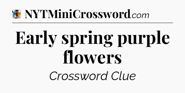 Early spring purple flowers Crossword Clue