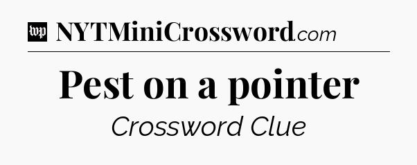 Pest on a pointer Crossword Clue