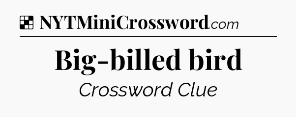 Solution: Big-billed bird - NYT Crossword
