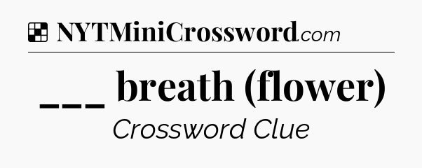 Solution: ___ breath (flower) - NYT Crossword