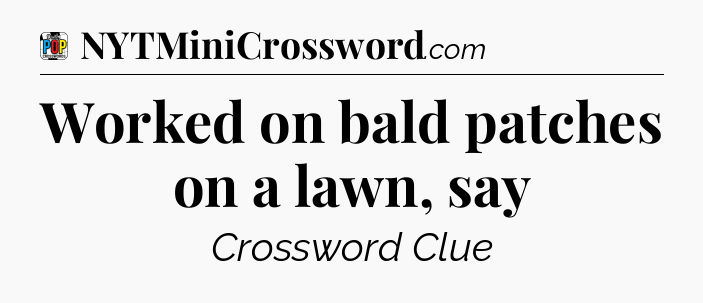 Worked on bald patches on a lawn, say Crossword Clue