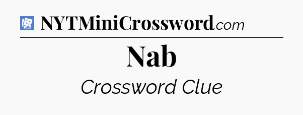 Nab Puzzle Page Crossword Clue