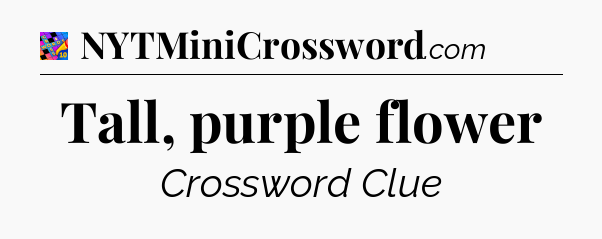 Tall, purple flower Crossword Clue