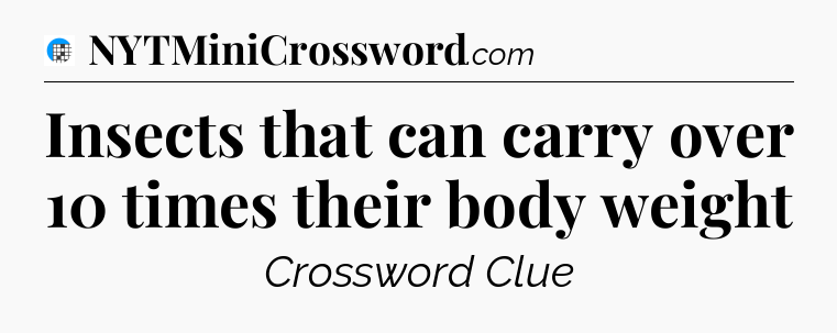 Insects that can carry over 10 times their body weight Crossword Clue