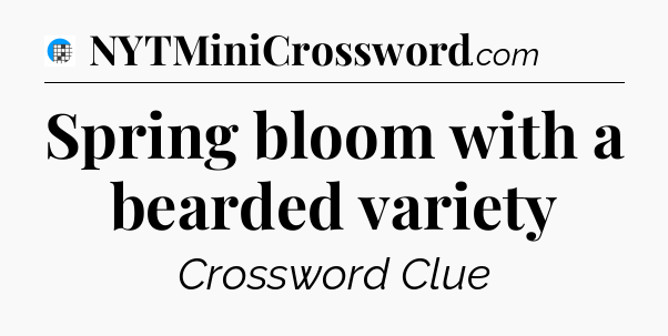 Spring bloom with a bearded variety Crossword Clue