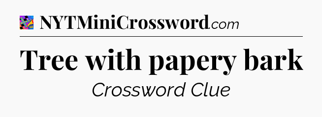 Tree with papery bark Crossword Clue