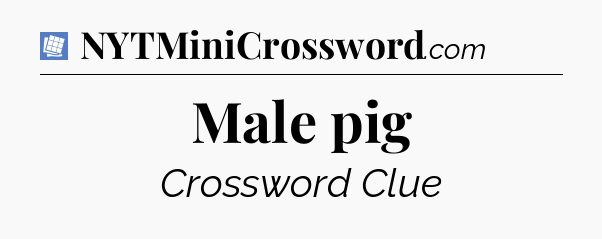 Male pig Puzzle Page Crossword Clue