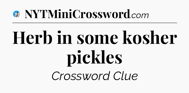 Herb in some kosher pickles Crossword Clue