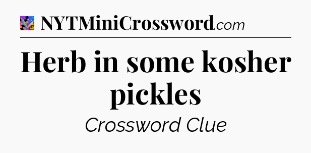 Herb in some kosher pickles Crossword Clue