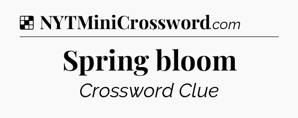 Solution: Spring bloom - NYT Crossword