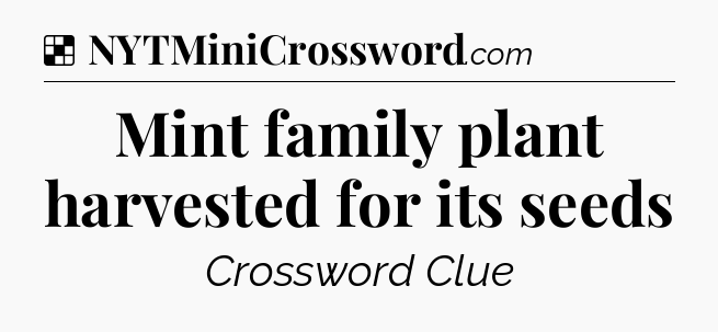 Solution: Mint family plant harvested for its seeds - NYT Crossword