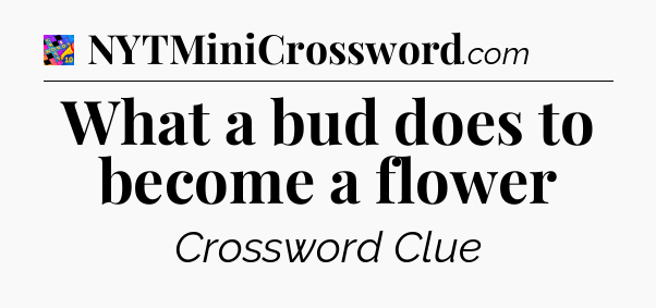 What a bud does to become a flower Crossword Clue