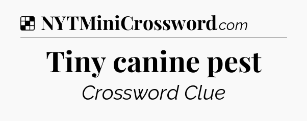 Solution: Tiny canine pest - NYT Crossword