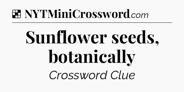 Solution: Sunflower seeds, botanically - NYT Crossword