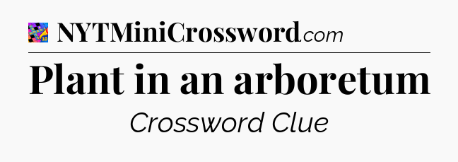Plant in an arboretum Crossword Clue