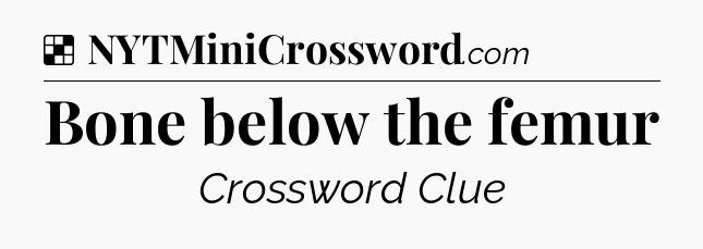 Solution: Bone below the femur - NYT Crossword
