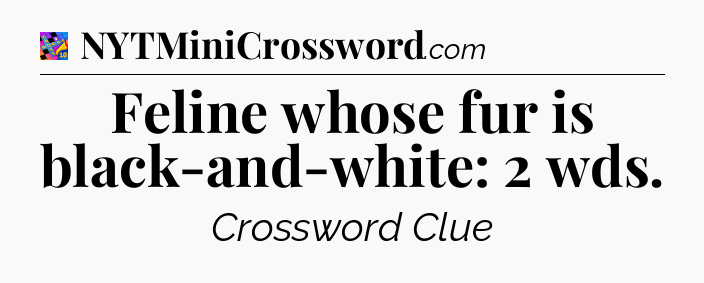 Feline whose fur is black-and-white: 2 wds Crossword Clue