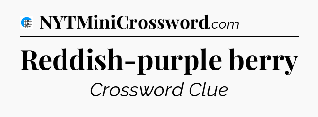 Reddish-purple berry Crossword Clue