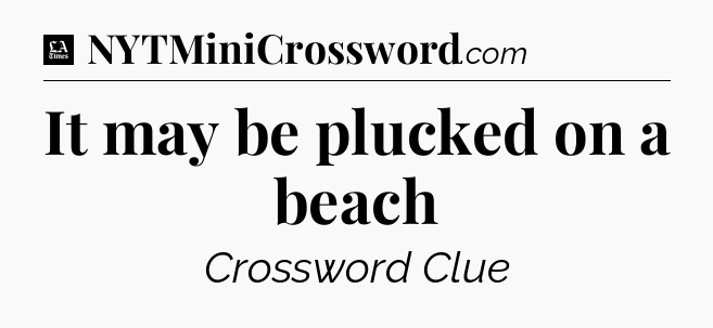 It may be plucked on a beach - LA Times Crossword