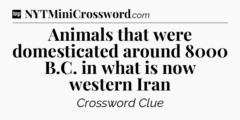 Animals that were domesticated around 8000 B.C. in what is now western Iran Crossword Clue