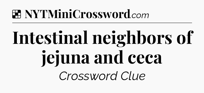 Solution: Intestinal neighbors of jejuna and ceca - NYT Crossword