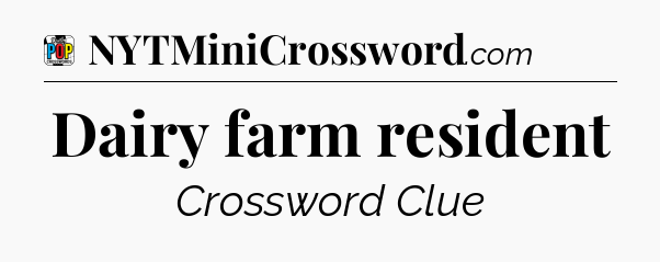 Dairy farm resident Crossword Clue