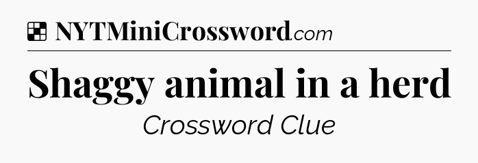 Solution: Shaggy animal in a herd - NYT Crossword
