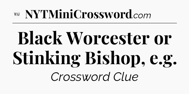 Black Worcester or Stinking Bishop, e.g - WSJ Crossword