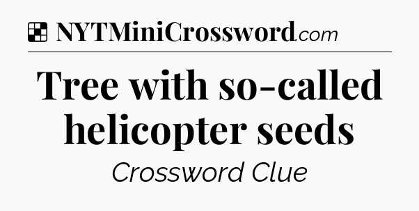 Solution: Tree with so-called helicopter seeds - NYT Crossword
