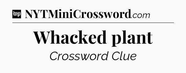 Whacked plant Crossword Clue