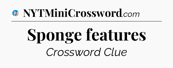 Sponge features Crossword Clue