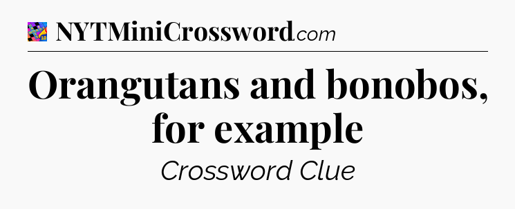 Orangutans and bonobos, for example Crossword Clue