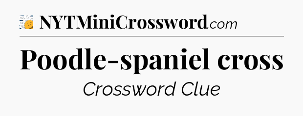 Poodle-spaniel cross - 7 Little Words