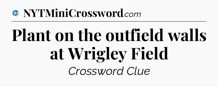 Plant on the outfield walls at Wrigley Field Crossword Clue