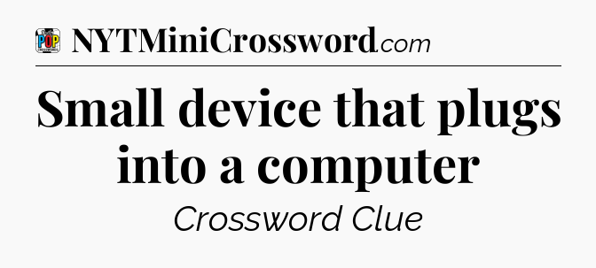 Small device that plugs into a computer Crossword Clue