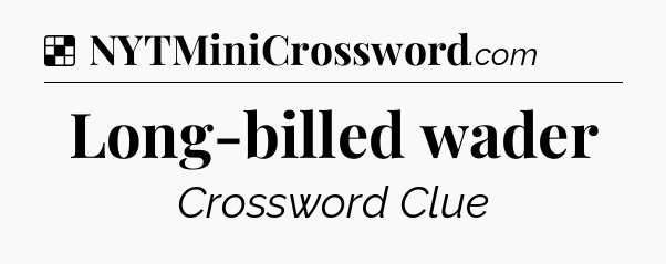 Solution: Long-billed wader - NYT Crossword