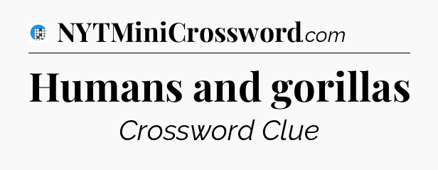 Humans and gorillas Crossword Clue