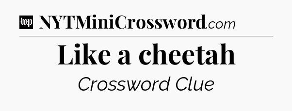 Like a cheetah Crossword Clue
