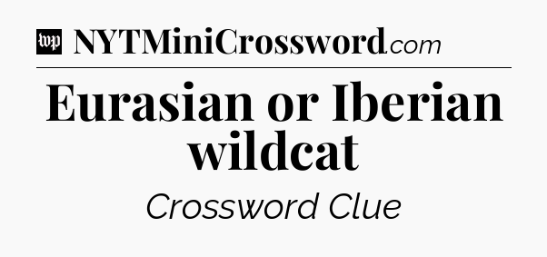 Eurasian or Iberian wildcat Crossword Clue