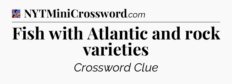 Fish with Atlantic and rock varieties Crossword Clue