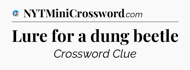 Lure for a dung beetle Crossword Clue