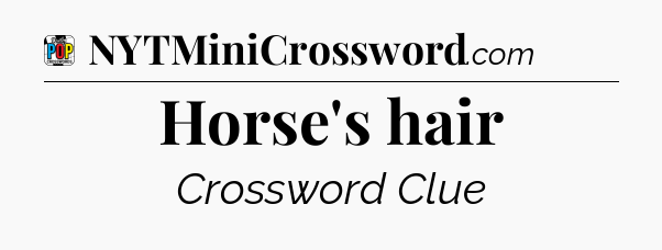 Horse's hair Crossword Clue