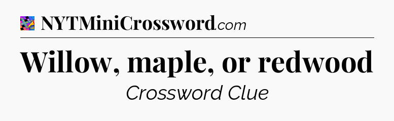 Willow, maple, or redwood Crossword Clue