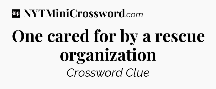 One cared for by a rescue organization Crossword Clue