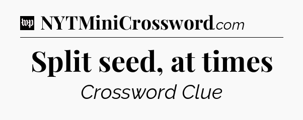 Split seed, at times Crossword Clue